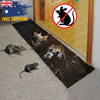 Effective 4Pcs Rat & Pest Glue Traps - Safe, Odorless, and Waterproof