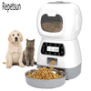 3,5-Liter-Futterautomat für Katzen und Hunde